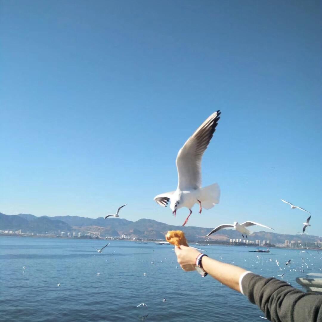 蓝色记忆