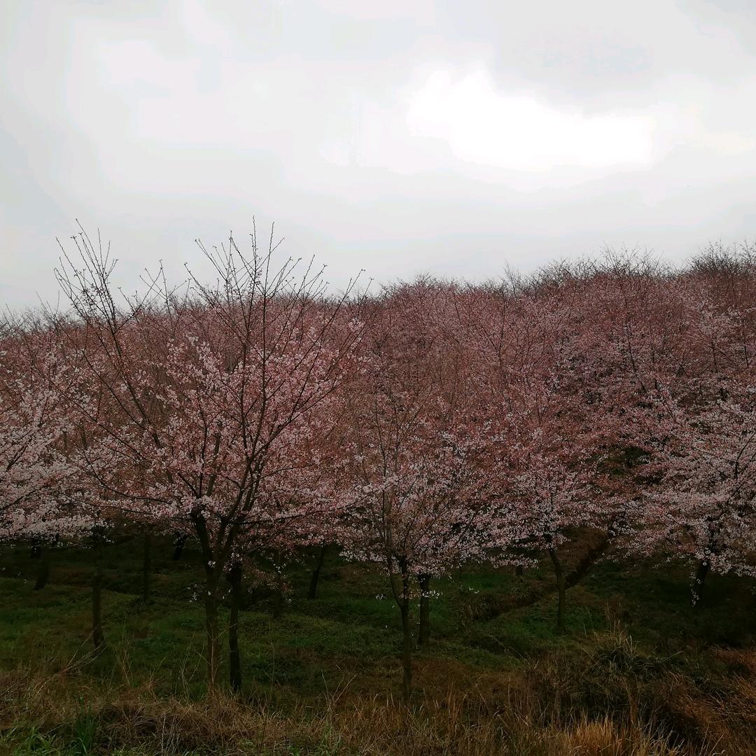 钱泽远