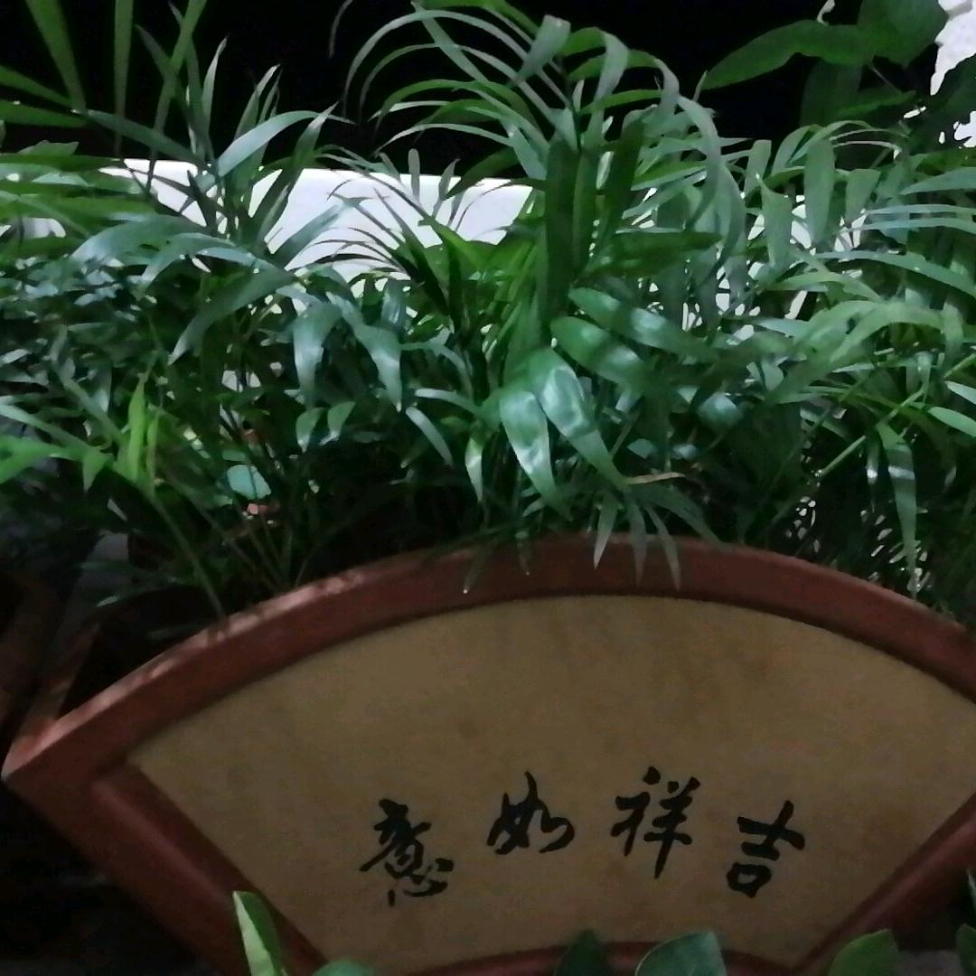 清凉山人