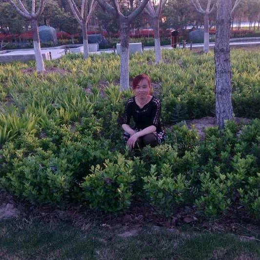 不要怕，有我在