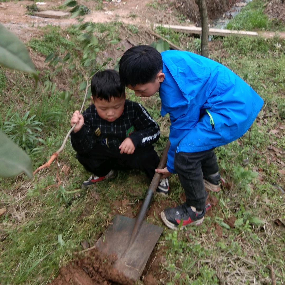 ♥落子无悔♥