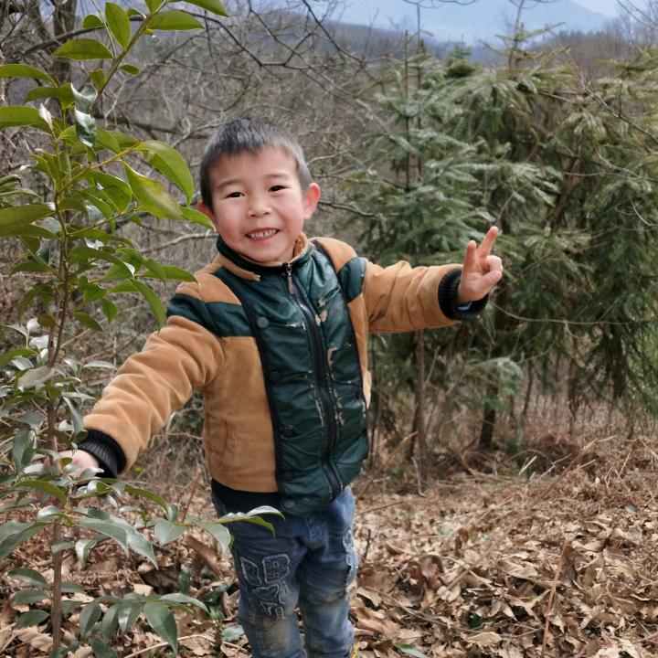 黑玫瑰