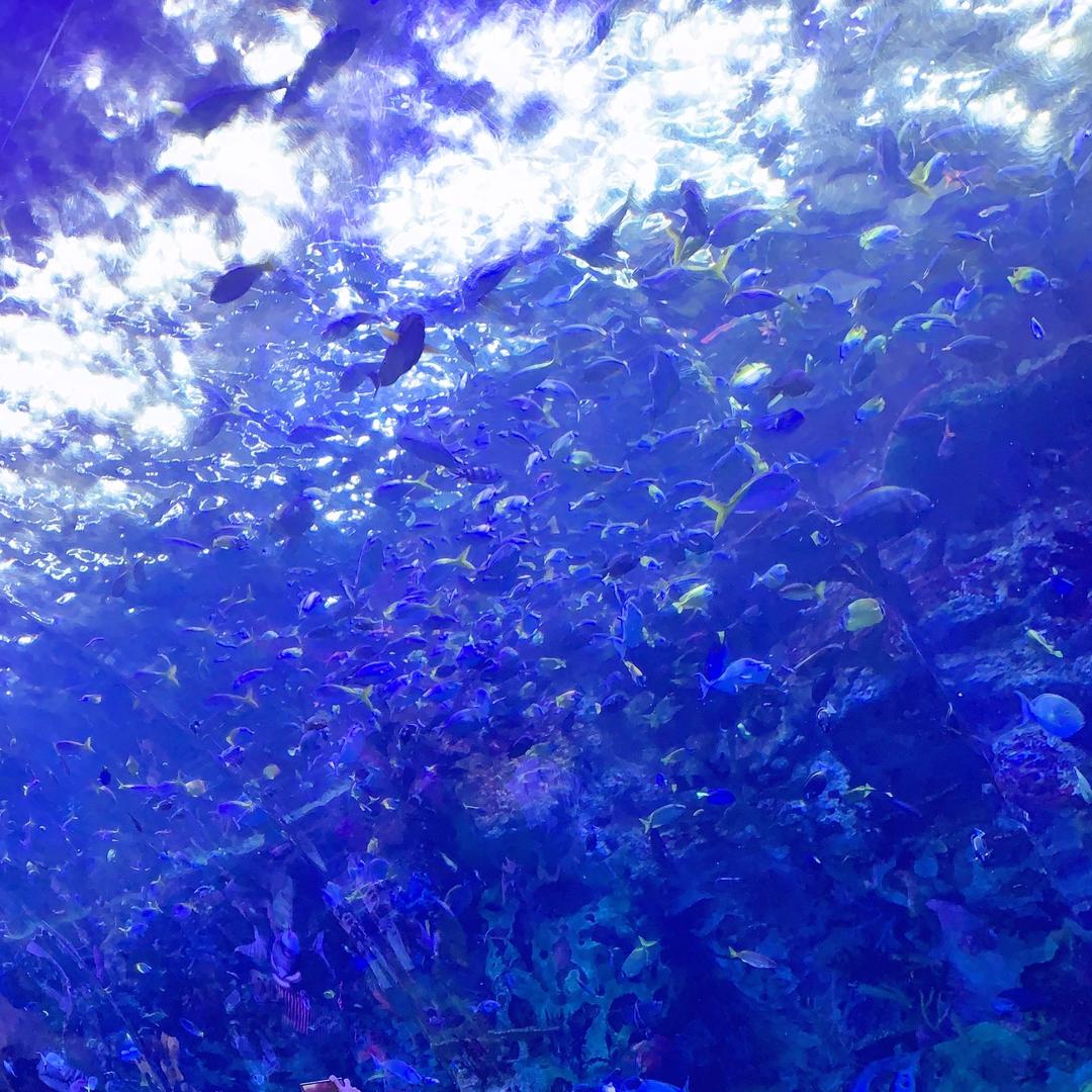 🧚🏻‍♀️小幸运6IuI