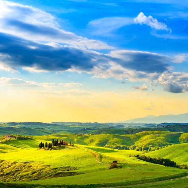 用户《陈》先生