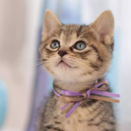 世界一天晴ヾ(＠⌒ー⌒＠)ノ