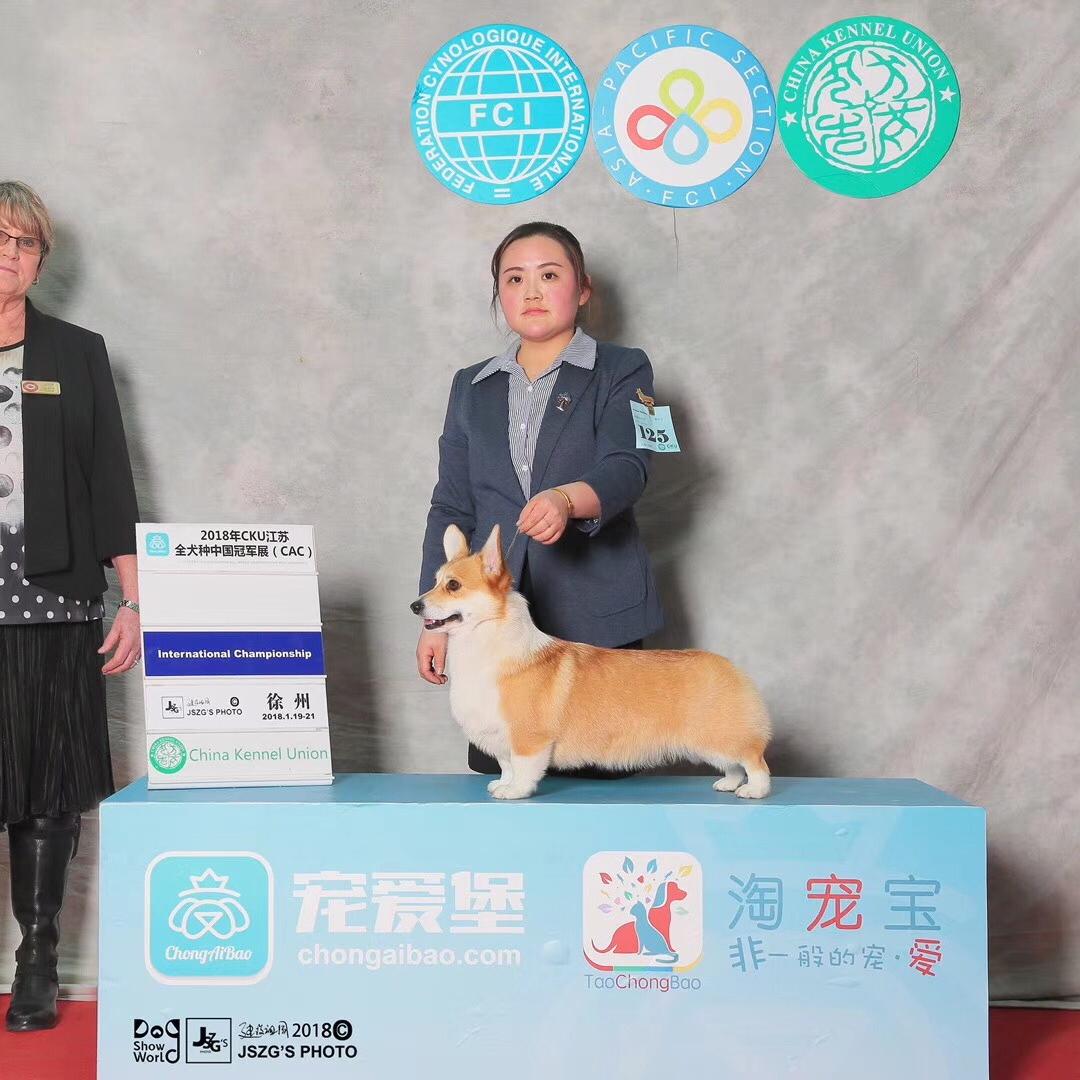 慈溪羊场