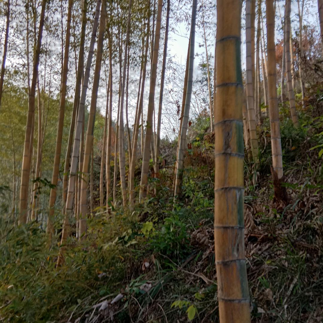 此时此刻