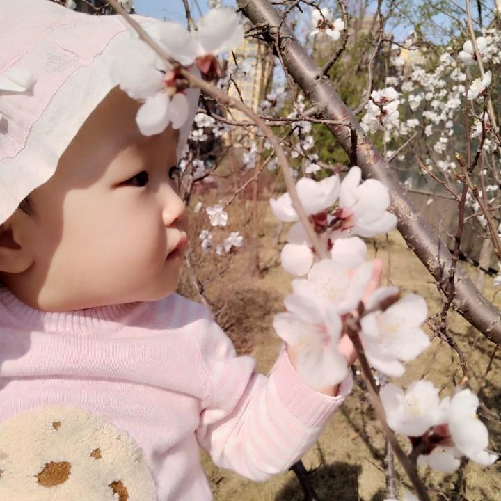 小年糕Genie