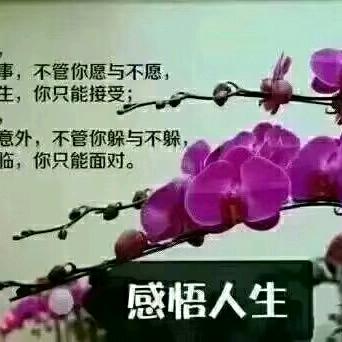 柳暗花明