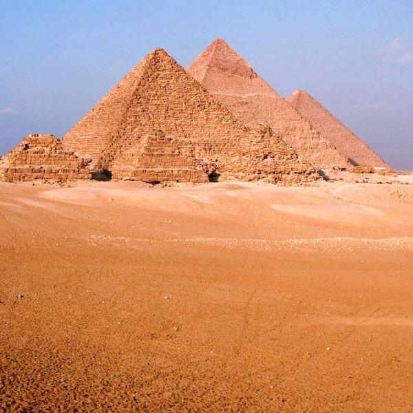 喜欢吃蒜泥猪手的白泽涛🍎🍐🍊🍋