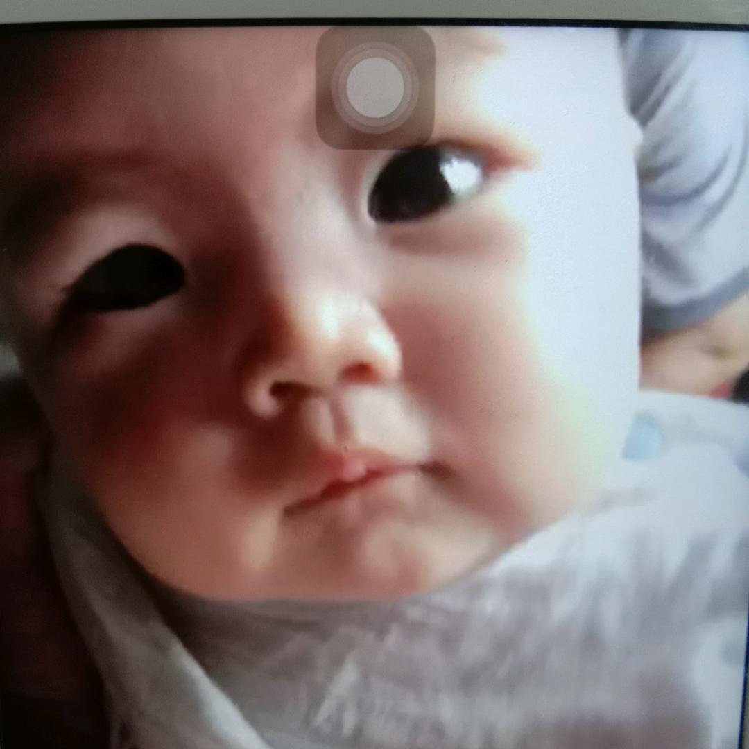 梦想海洋