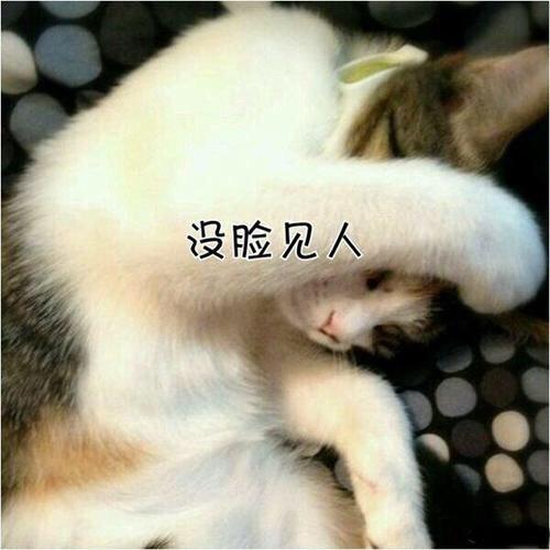 荔城街小马哥