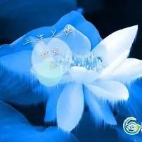 _绝世逍遥_
