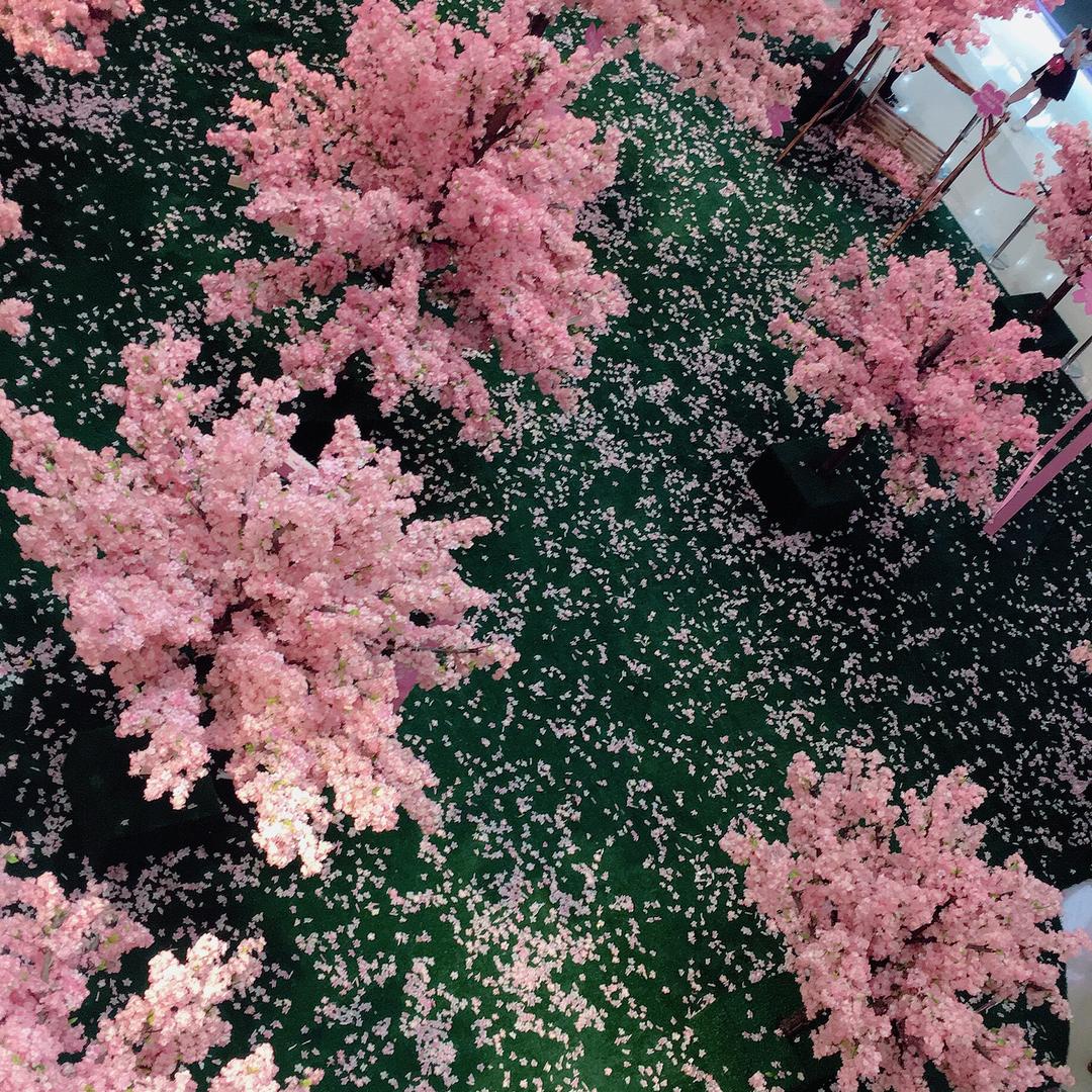 好久不见