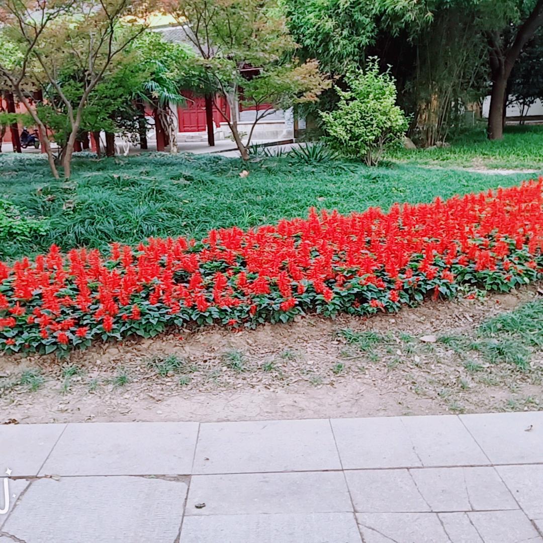 天时地利人和
