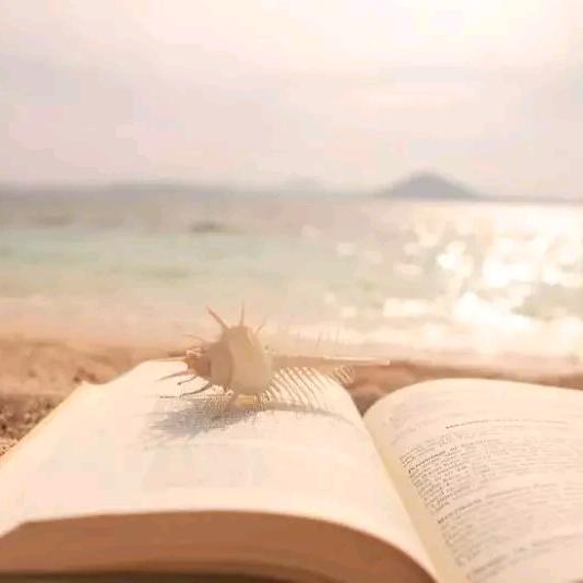 繁花似锦觅安宁