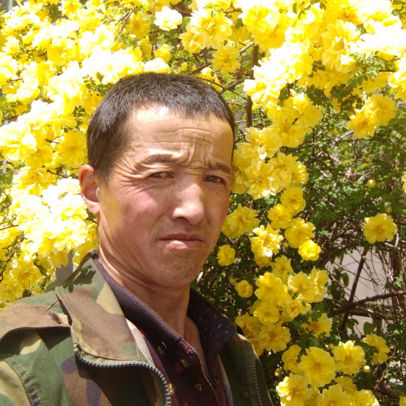 存福