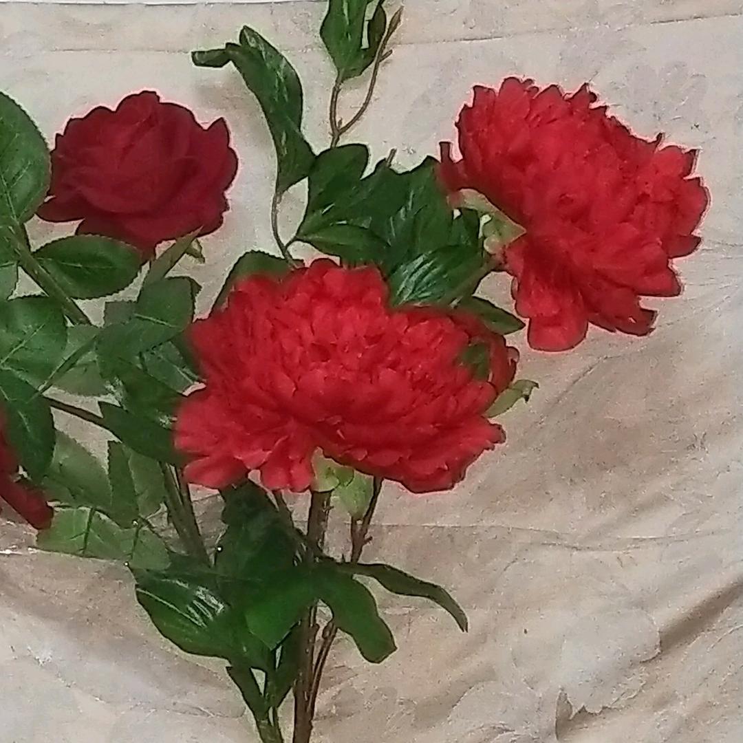 牡丹花
