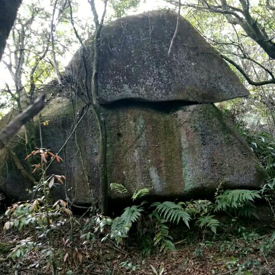 一个人的岁月