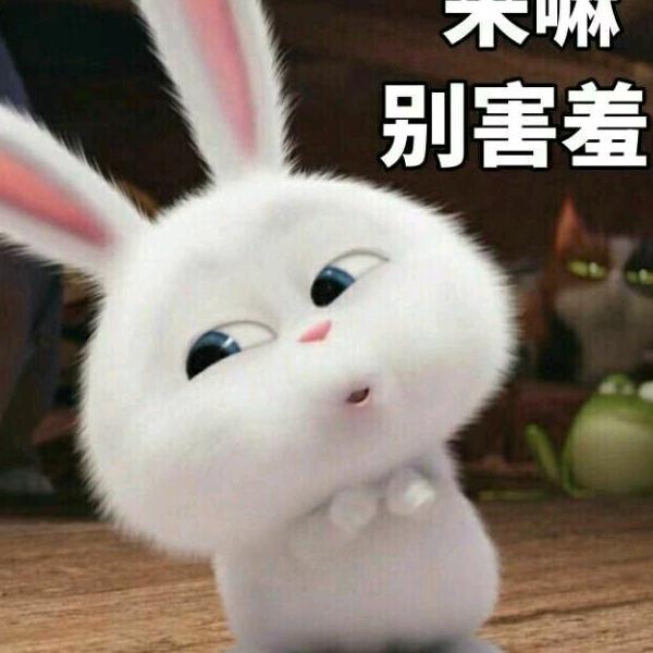 。。。