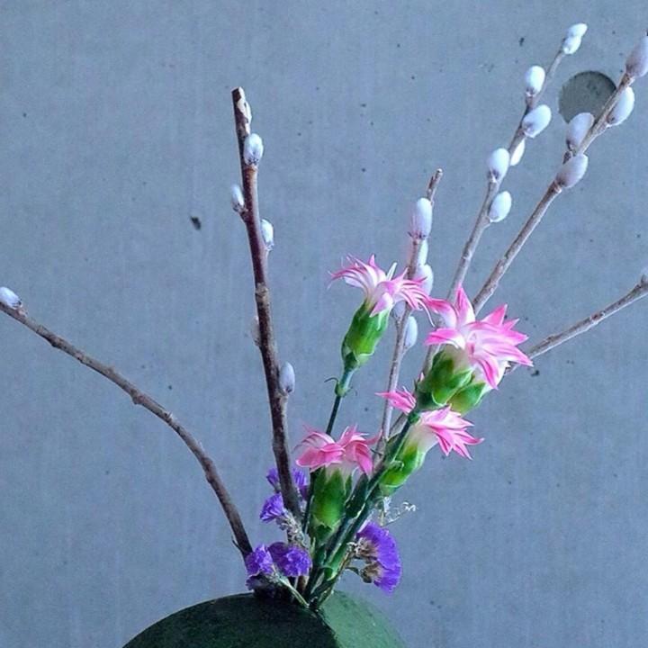珍惜所有
