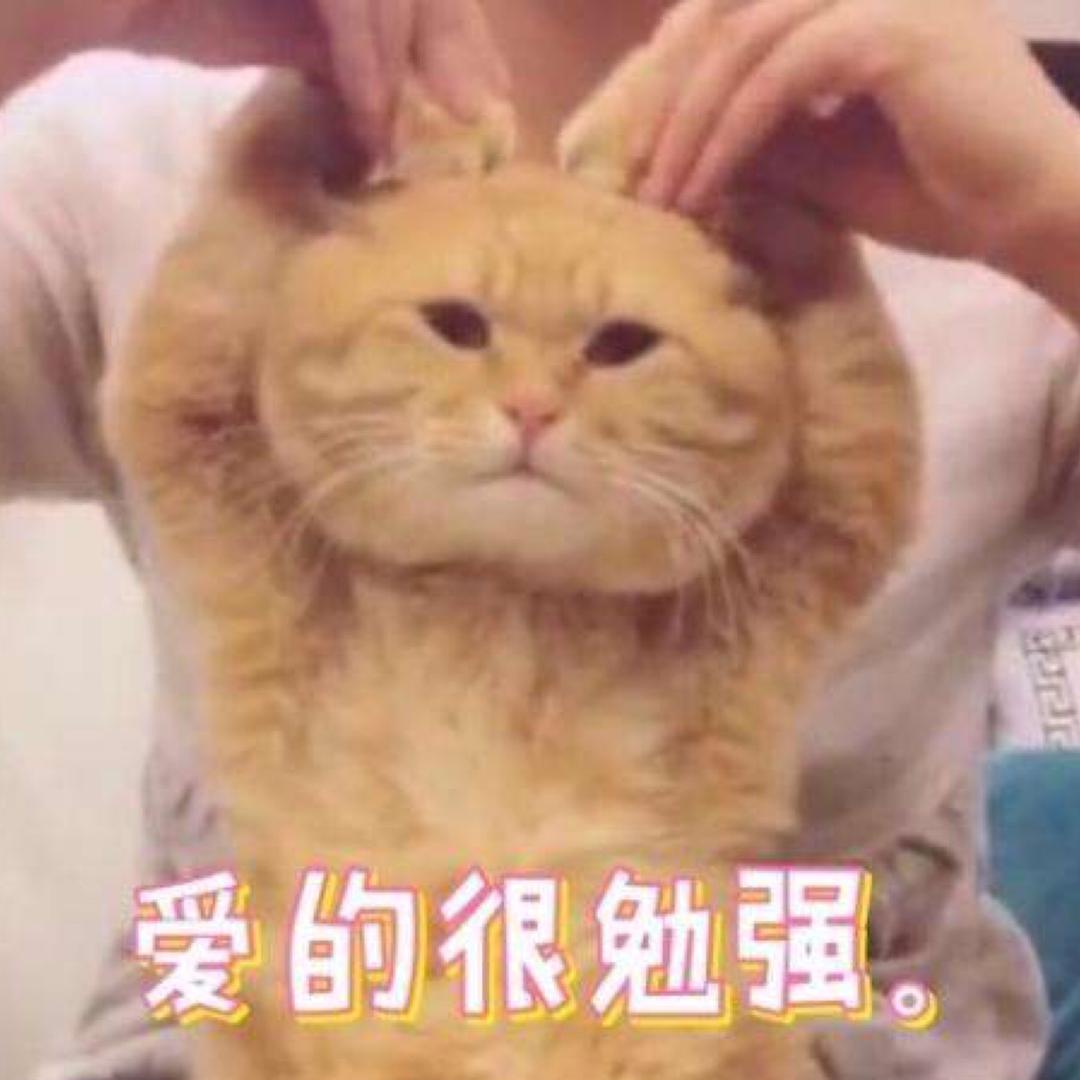 小宝石