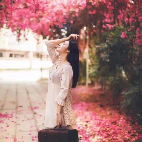 小灰灰的宝藏库