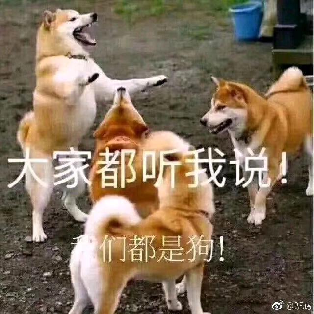 爱吃陈皮话梅糖