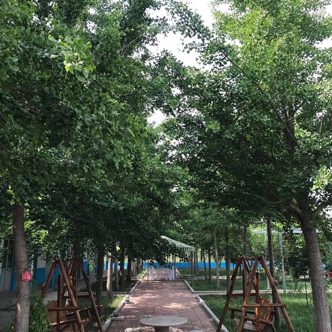 康嘉达（康利达）孙利明