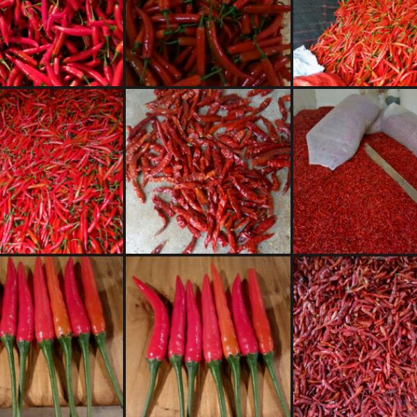 浩宏农副产品经营部