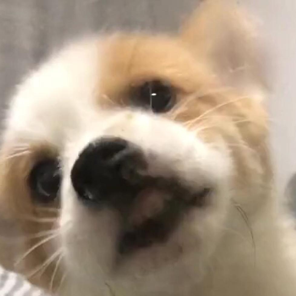 西门崴脚
