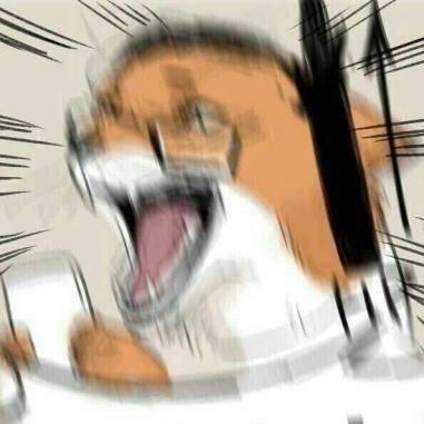 门牌君