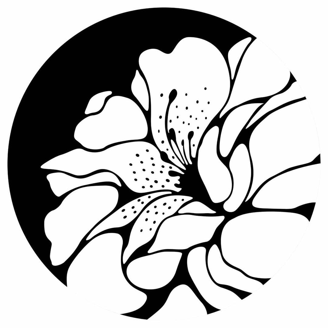 星朝美术馆