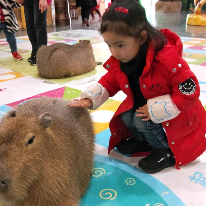 百味人生