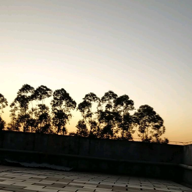 人生ꦋ💞༼ꪟ如梦 ᥫ᭡ོꦿ🕊️ꦿ᭄꯭