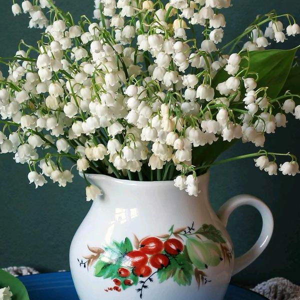 干机加工的深漂一族