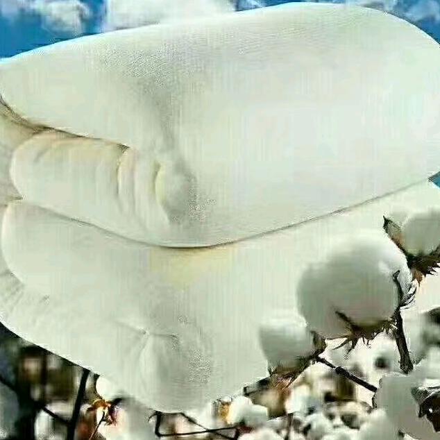 幸福的未来
