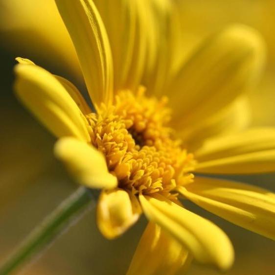 You are the sun 、