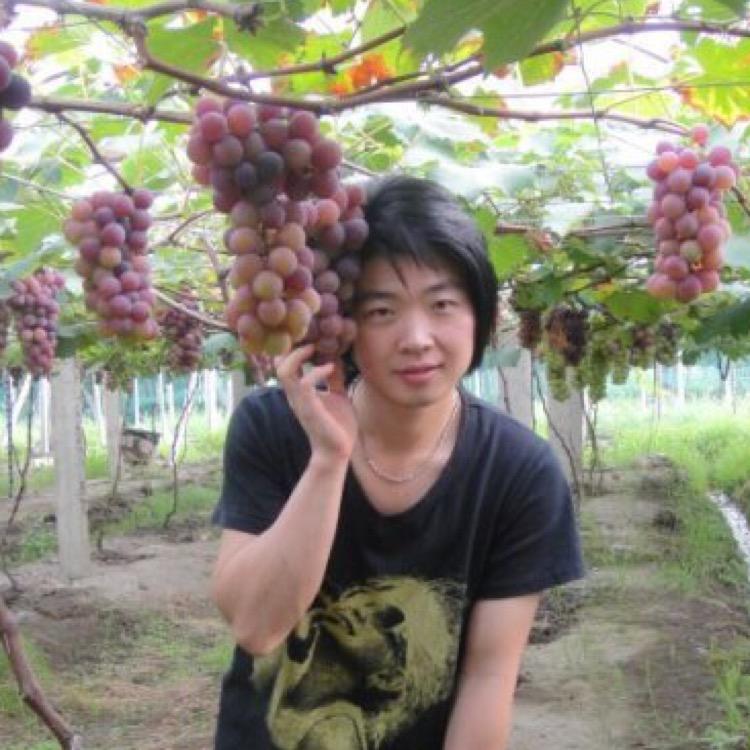 豆腐干