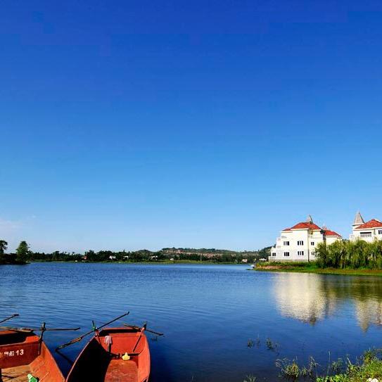 额 ❔               🩼