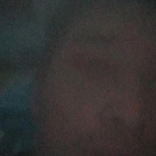 爱在不言中