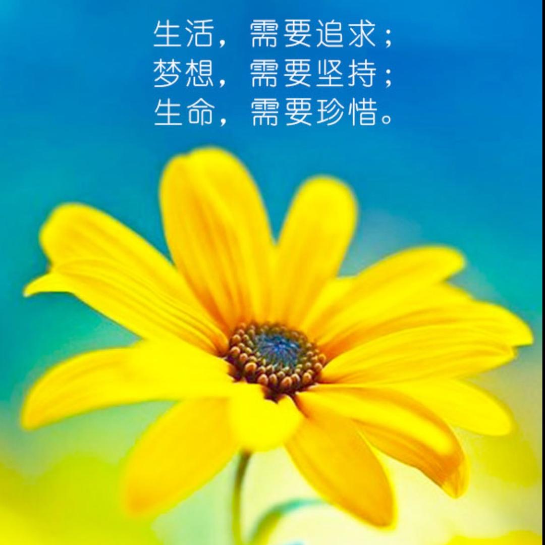 啊闸是我™
