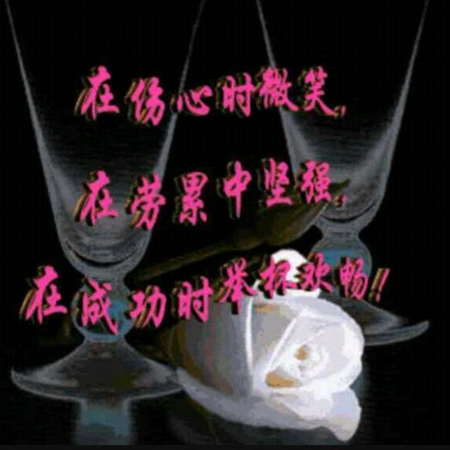 蝴蝶飞飞