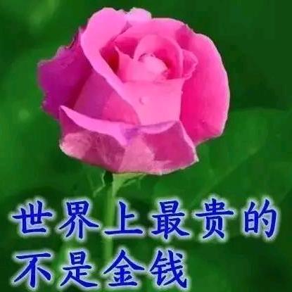 古城人在苏州
