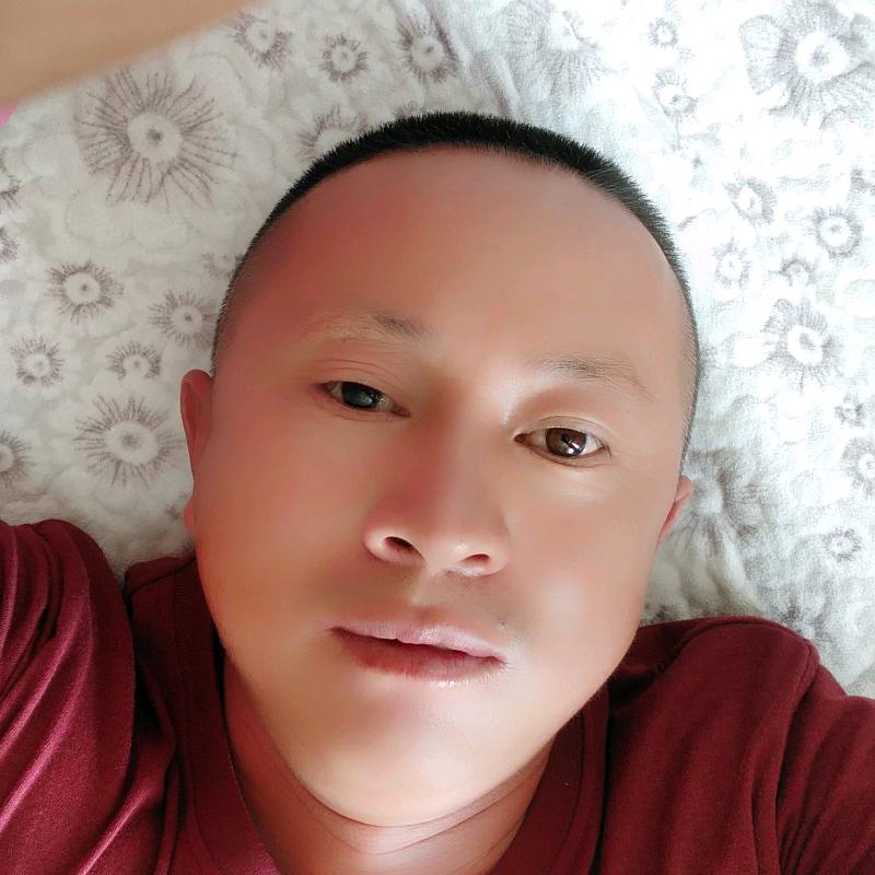 大森林
