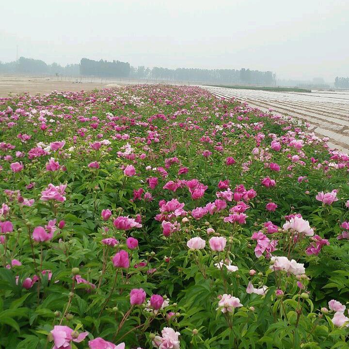 坚持到底，就是胜利