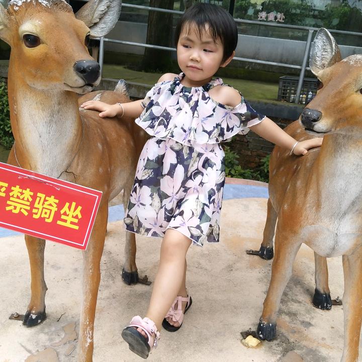 江🇨🇳♍️⛎️♏️哥