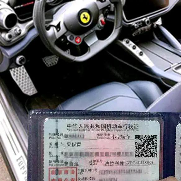 痴愚先生
