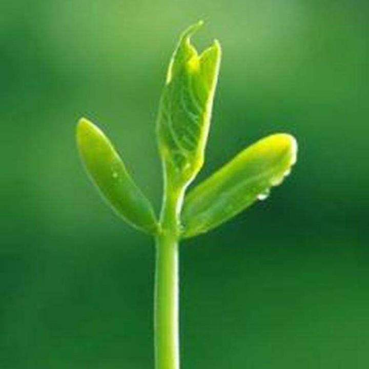 曾经的你