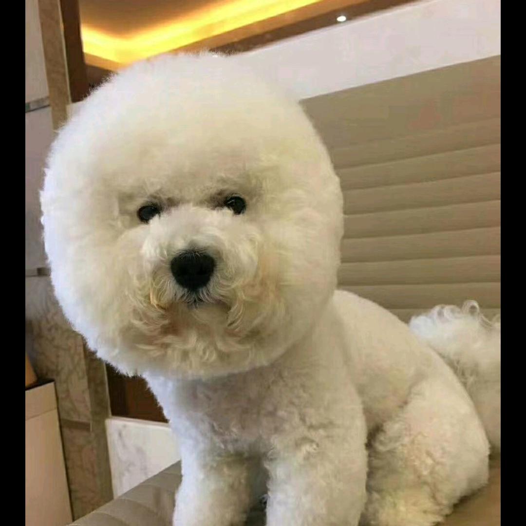 星晨阳光''（请不要连赞）